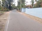 Valuable Land for Sale in Negombo