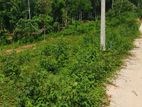 Valuable Land for Sale in Nelumdeniya