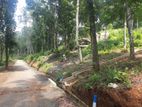 Valuable land for sale in Nelundeniya