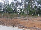 Valuable land for sale in Nelundeniya
