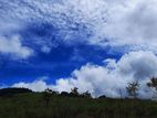 Valuable land for sale in Nillamba