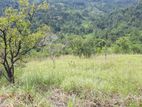 Valuable land for sale in Nillamba