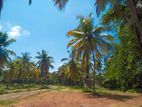 Valuable Land For Sale in Nittambuwa