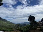 Valuable Land for Sale in Nuwaraeliya