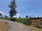 Valuable land for sale in Nuwaraeliya, Meepilimana