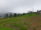 Valuable land for sale in Nuwaraeliya, Meepilimana