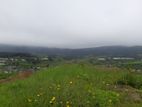 Valuable land for sale in Nuwaraeliya, Meepilimana