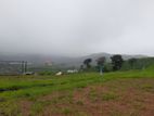 Valuable land for sale in Nuwaraeliya, Meepilimana