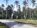 Valuable Land for Sale in Palapathvela