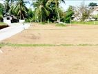 Valuable land for sale in panadura