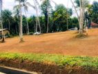 Valuable Land For Sale in Panadura