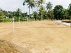 Valuable Land for Sale in Pannala
