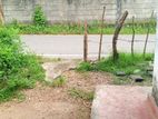 Valuable Land for sale in Pannipitiya