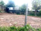 Valuable Land for Sale in Pannipitiya