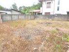 Valuable Land for Sale in Pannipitiya
