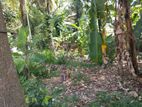 Valuable Land for Sale in Pannipitiya