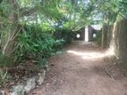 Valuable Land for Sale in Pannipitiya