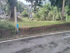 Valuable Land for sale in Pannipitiya Polwatta Road
