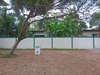 Valuable Land for Sale in Pelanwatta S5