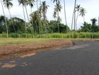 Valuable Land For Sale In Pellandeniya Junction