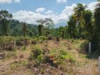 Valuable land for Sale in Pilimathalawa