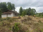 Valuable Land for Sale in Pilimathalawa