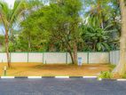 Valuable Land For Sale In Piliyandala 296 Bus Road 100M