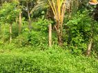 Valuable Land for sale in Piliyandala