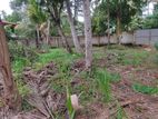 Valuable Land for Sale in Piliyandala