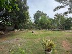 Valuable Land for Sale in Piliyandala