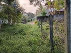Valuable Land for Sale in Piliyandala