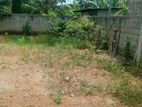 Valuable Land for Sale in Piliyandala