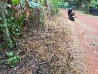 Valuable Land for Sale in Piliyandala