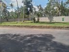 Valuable Land for sale in Piliyandala, Kotagedara