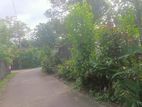 Valuable Land for Sale in Piliyandala- Maharagama Road