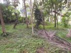 .Valuable land for sale in Pinnawala tourist area.