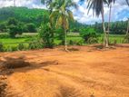 Valuable Land for Sale in Pokunuvita