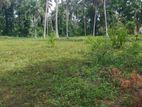 Valuable Land for Sale in Polgahawela Ibulgasdeniya