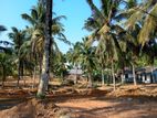 Valuable Land For Sale In Polgasowita