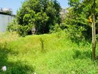 Valuable Land for Sale in Prestige Location Colombo 05