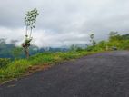 Valuable Land for Sale in Pudaluoya