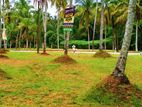 Valuable Land for Sale in Pugoda