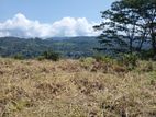 Valuable Land for sale in Pussallawa