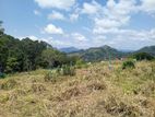 Valuable Land for Sale in Pussallawa