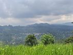 Valuable Land For Sale In Pussellawa