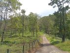 Valuable land for sale in Pussellawa