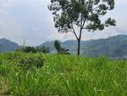 Valuable Land for Sale in Pussellawa