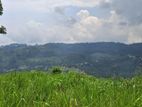 Valuable Land for Sale in Pussellawa