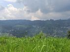 Valuable Land for Sale in Pussellawa Wahurupitiya