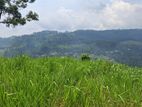 Valuable Land for Sale in Pussellawa Wahurupitiya